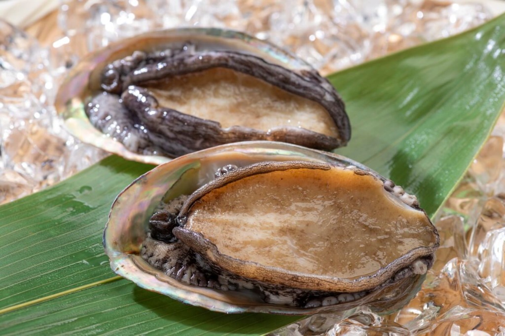 新鮮なアワビを最速でお届け